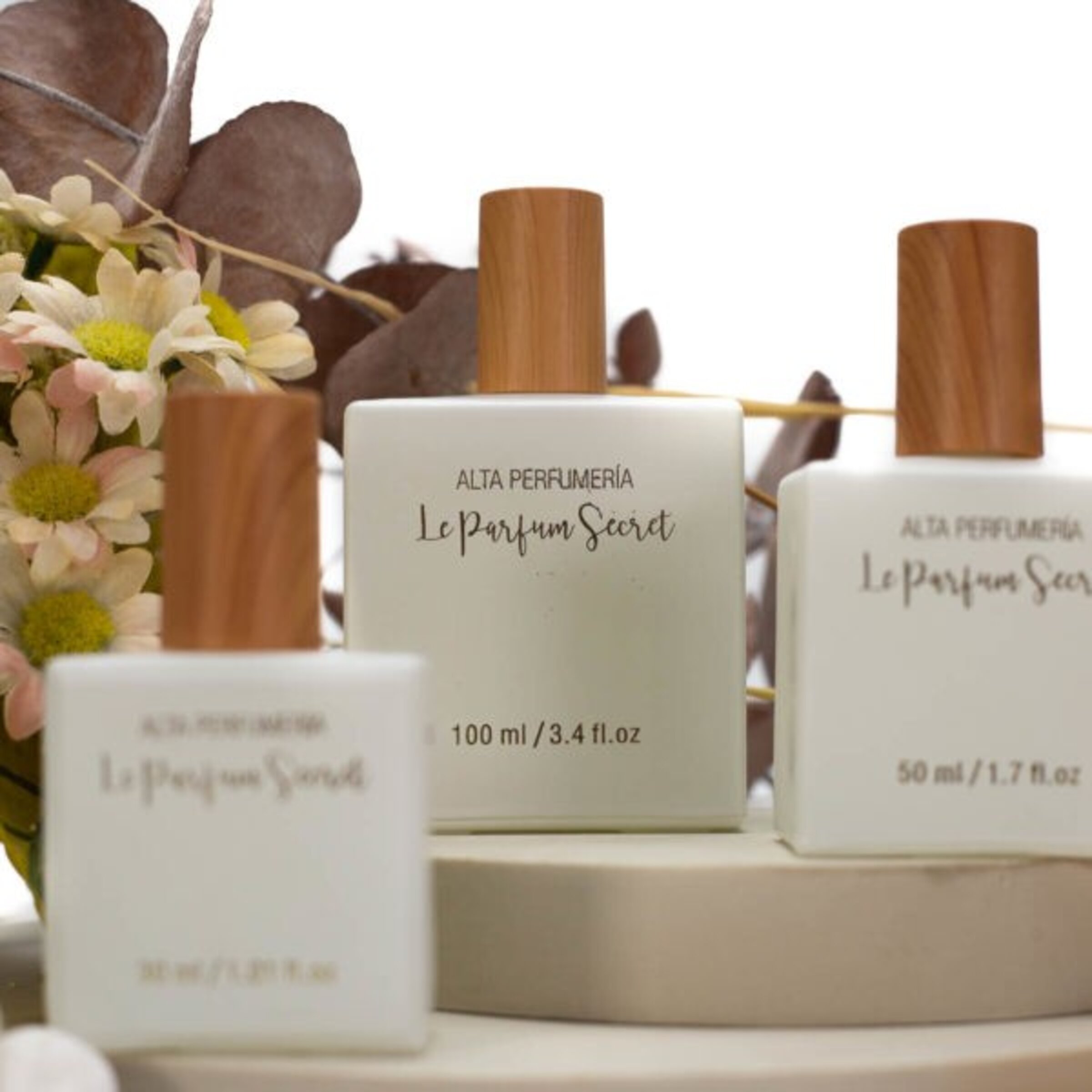 Perfumes de Equivalencia